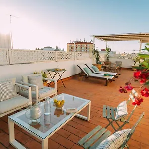 ático Con Terraza En El Centro De Sevilla